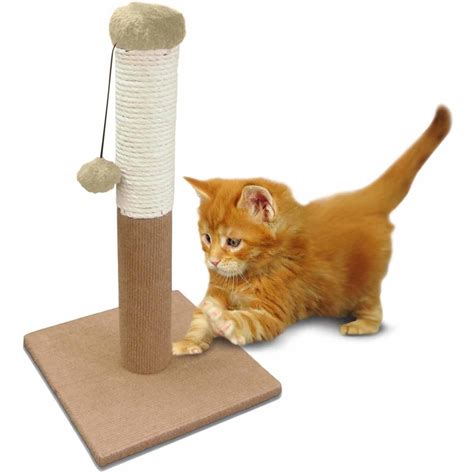 Magical feline scratching toy